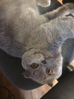 мальчик вырос2.jpg