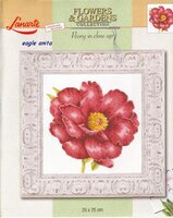 Пион (Lanarte Peony in close-up).jpg