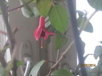 Изображение 863.jpg