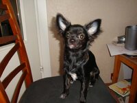 Варя злится.jpg