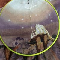 20170601 кошки.JPG