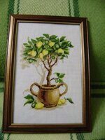 Лимонное дерево (5).jpg