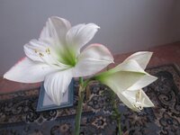 Изображение 895.jpg