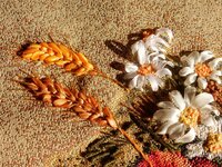 2015-09-22 09-29-06.jpg