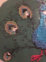 Изображение 216.jpg