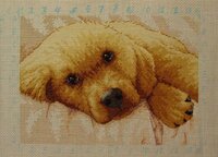 IMG_9368 копия.jpg