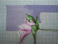 Пионы 20 апреля.jpg