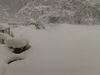 2012-04-05 08.00.25.jpg