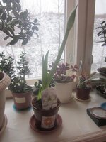 Изображение 194.jpg