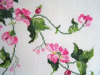 Шиповник от Анхор 04.jpg