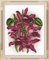 ЦК-015TSK-015 Бархатное сияние ЗР.jpeg