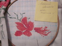 Изображение 32881.jpg