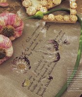 MTSA Histoire d'Auls.jpg