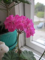 Изображение 1543.jpg