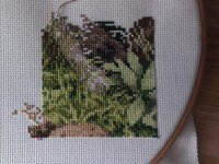 Оксанка 2.jpg