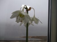 Изображение 287959.jpg