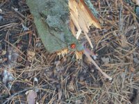 Изображение 161.jpg