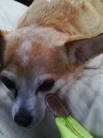 IMAG4361 [Разрешение рабочего стола].JPG