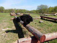 2014-05-08 10-35-10.jpg