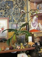 Изображение 2168.jpg