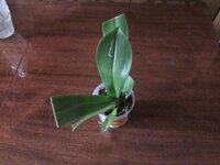 Изображение 1545.jpg