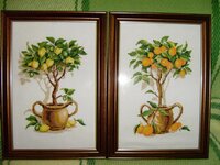 Апельсиновое и Лимонное деревья.jpg