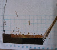 света апельс.jpeg