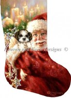 Stocking Shih Tzu For Christmas.jpg