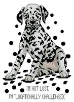 JCD 1215 Tailwaggers#5 - I'm not Lost.jpg