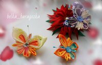 бабочки 2.jpg