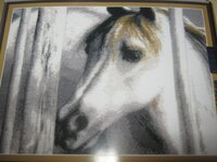 Изображение 378.jpg