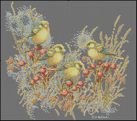 птички шиповник.jpg