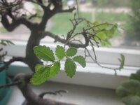 Изображение 422.jpg