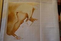 мандаринка 4.jpg