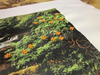 Изображение 2017.jpg