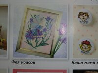 CIMG1116 (1024x768).jpg