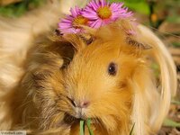 66880Морск св 2.jpg