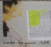 IMG_2964 копия.jpg