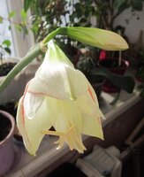 Изображение 878.jpg