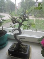 Изображение 421.jpg