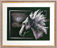 Ж-527 «Лунный конь».jpg