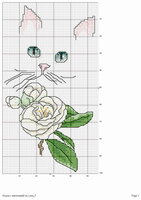 LA Cat Blue Eyes & Magnolia.jpg