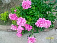 Последнее 004.jpg