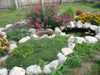 снимки 005.jpg