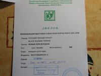 2015-07-15 13-59-42.jpg