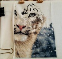 Леопард 27.03.2012.jpg