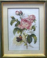 розы с бабочкой.jpg