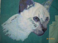 Изображение 105.jpg