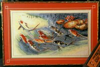 Nine Koi Carp-Pic.jpg