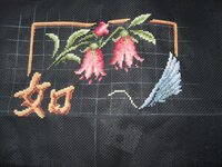 колибри 03.jpg